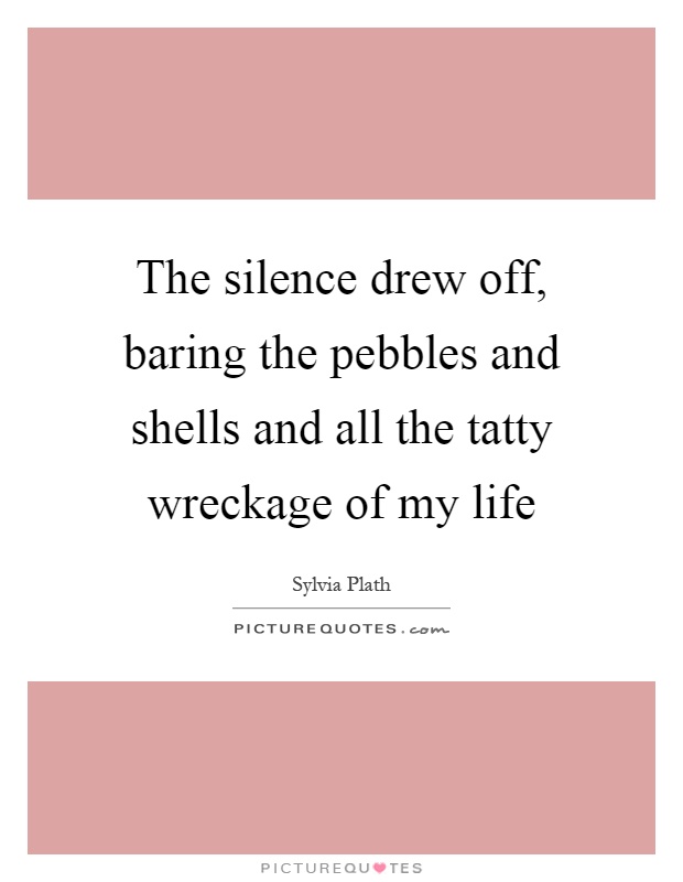 The silence drew off, baring the pebbles and shells and all the tatty wreckage of my life Picture Quote #1