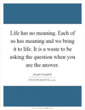 Life has no meaning. Each of us has meaning and we bring it to life. It is a waste to be asking the question when you are the answer Picture Quote #1