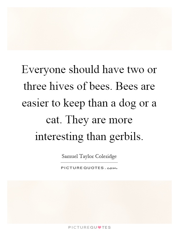 Everyone should have two or three hives of bees. Bees are easier to keep than a dog or a cat. They are more interesting than gerbils Picture Quote #1