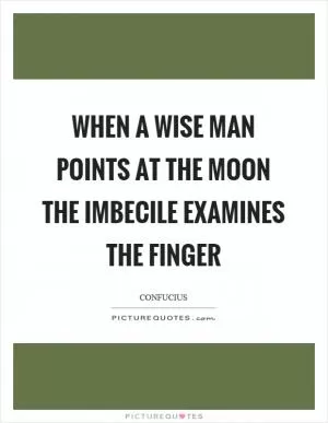 When a wise man points at the moon the imbecile examines the finger Picture Quote #1