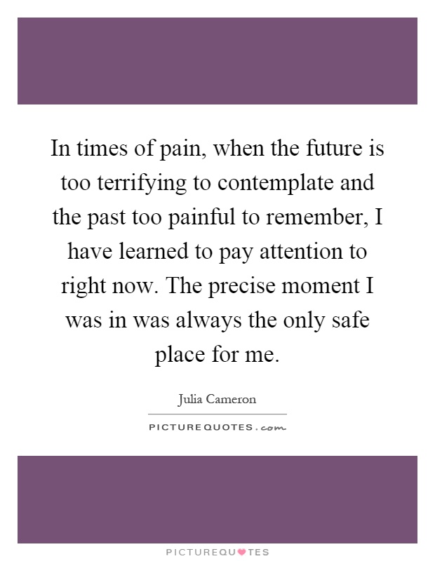In times of pain, when the future is too terrifying to contemplate and the past too painful to remember, I have learned to pay attention to right now. The precise moment I was in was always the only safe place for me Picture Quote #1