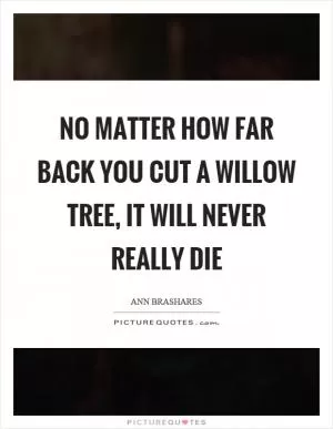 No matter how far back you cut a willow tree, it will never really die Picture Quote #1
