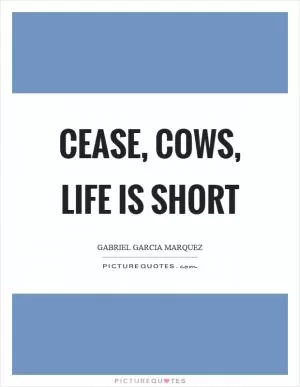 Cease, cows, life is short Picture Quote #1