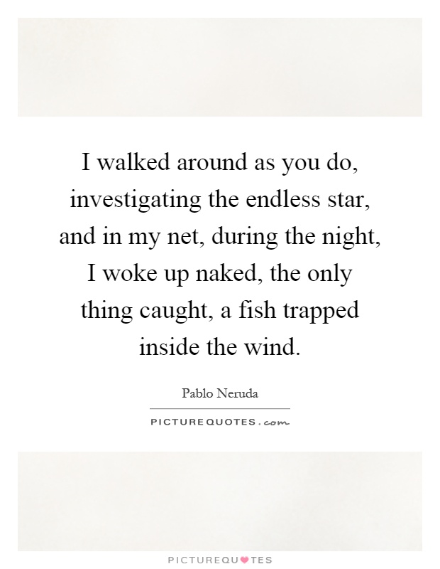 I walked around as you do, investigating the endless star, and in my net, during the night, I woke up naked, the only thing caught, a fish trapped inside the wind Picture Quote #1
