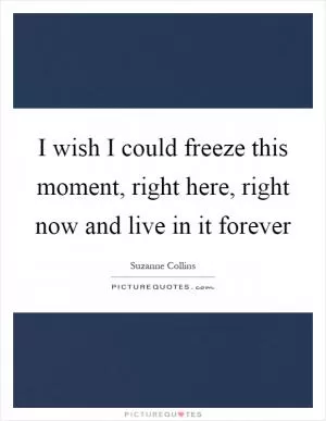 I wish I could freeze this moment, right here, right now and live in it forever Picture Quote #1