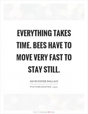 Everything takes time. Bees have to move very fast to stay still Picture Quote #1
