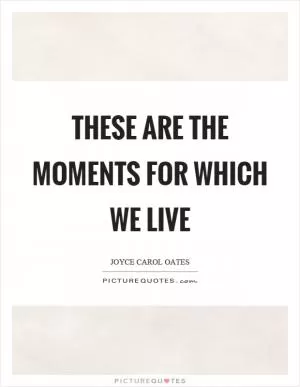 These are the moments for which we live Picture Quote #1