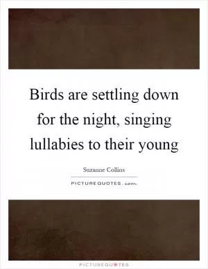 Birds are settling down for the night, singing lullabies to their young Picture Quote #1