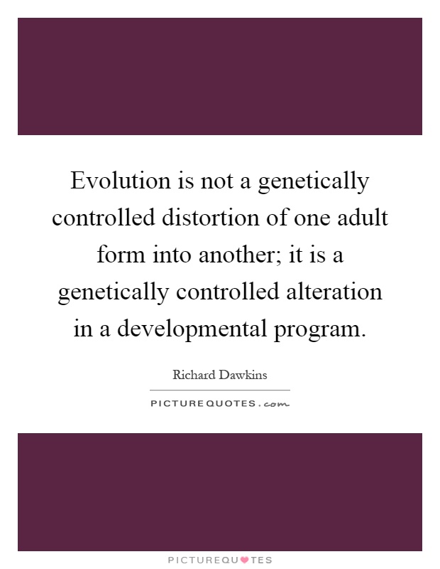 Evolution is not a genetically controlled distortion of one adult form into another; it is a genetically controlled alteration in a developmental program Picture Quote #1