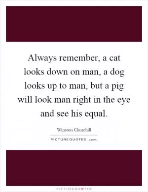 Always remember, a cat looks down on man, a dog looks up to man, but a pig will look man right in the eye and see his equal Picture Quote #1