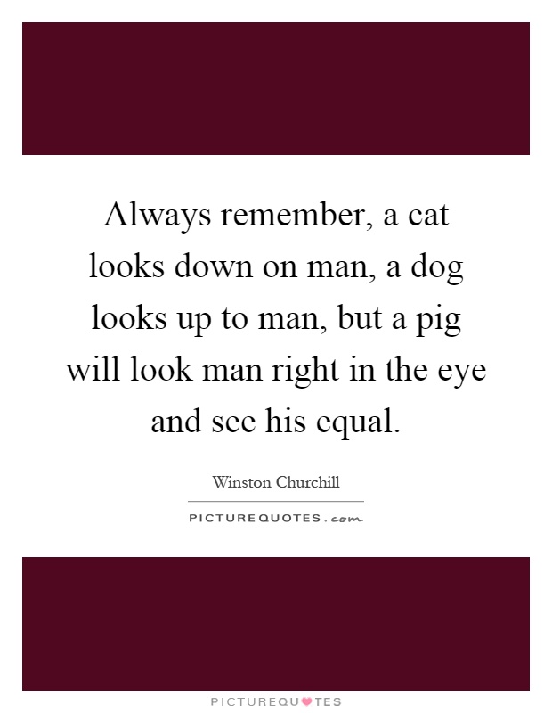 Always remember, a cat looks down on man, a dog looks up to man, but a pig will look man right in the eye and see his equal Picture Quote #1