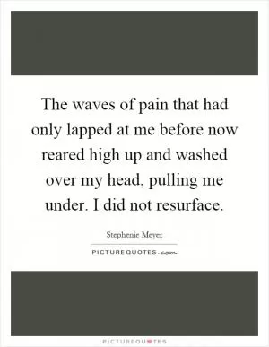 The waves of pain that had only lapped at me before now reared high up and washed over my head, pulling me under. I did not resurface Picture Quote #1