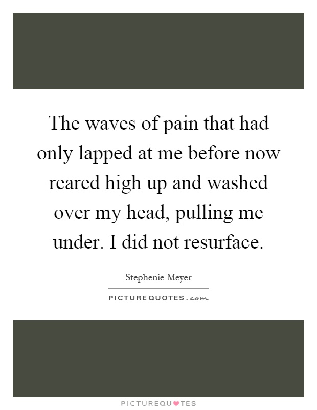 The waves of pain that had only lapped at me before now reared high up and washed over my head, pulling me under. I did not resurface Picture Quote #1