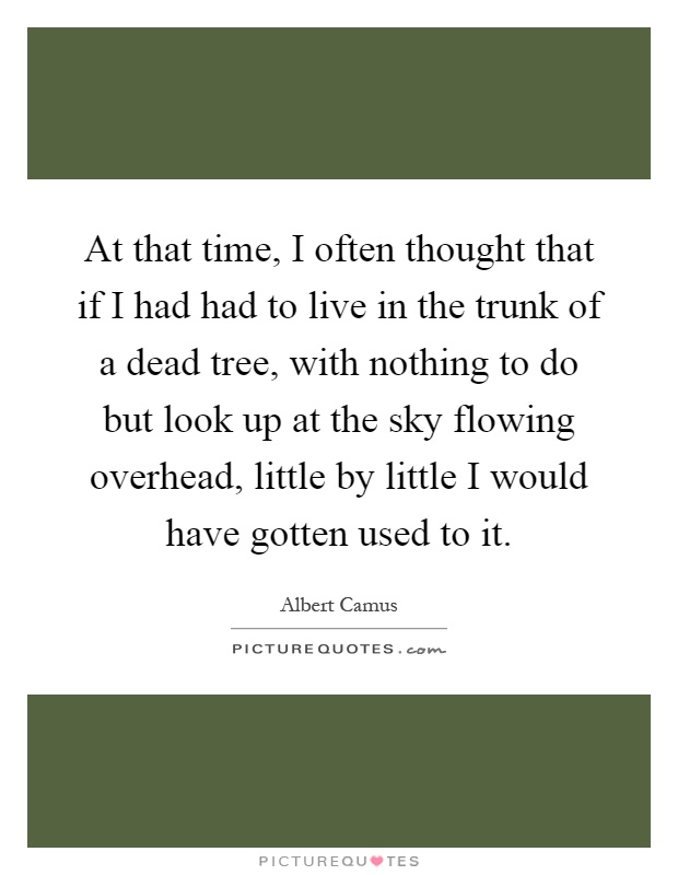 At that time, I often thought that if I had had to live in the trunk of a dead tree, with nothing to do but look up at the sky flowing overhead, little by little I would have gotten used to it Picture Quote #1