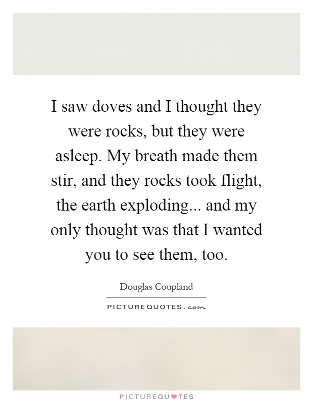 I saw doves and I thought they were rocks, but they were asleep. My breath made them stir, and they rocks took flight, the earth exploding... and my only thought was that I wanted you to see them, too Picture Quote #1