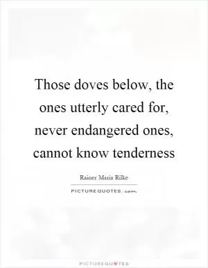 Those doves below, the ones utterly cared for, never endangered ones, cannot know tenderness Picture Quote #1
