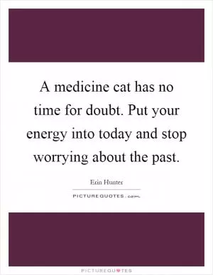 A medicine cat has no time for doubt. Put your energy into today and stop worrying about the past Picture Quote #1