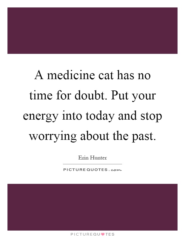 A medicine cat has no time for doubt. Put your energy into today and stop worrying about the past Picture Quote #1