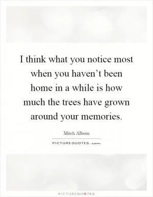 I think what you notice most when you haven’t been home in a while is how much the trees have grown around your memories Picture Quote #1