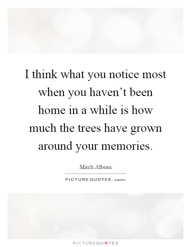 I think what you notice most when you haven't been home in a while is how much the trees have grown around your memories Picture Quote #1
