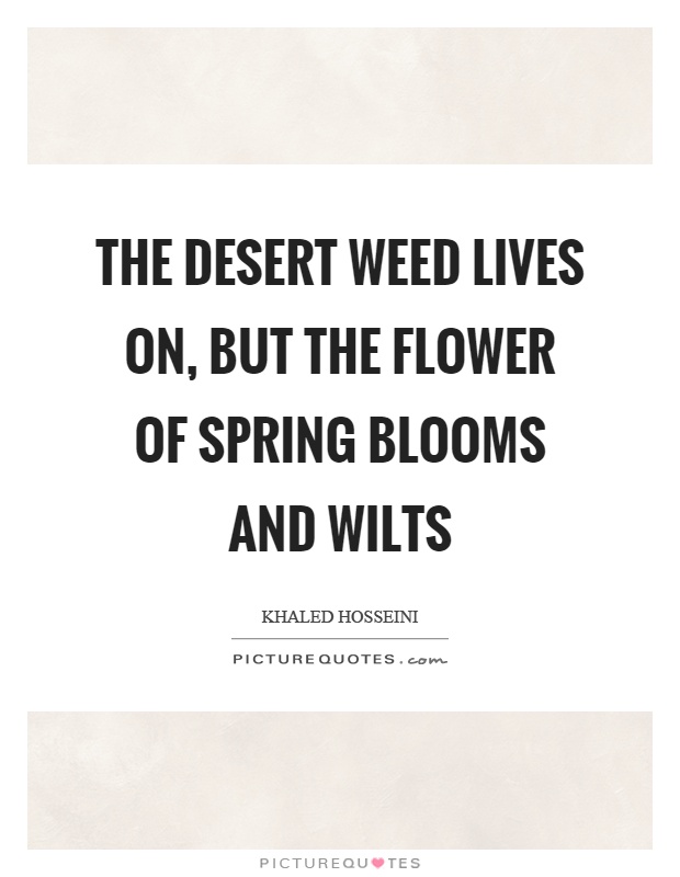 The desert weed lives on, but the flower of spring blooms and wilts Picture Quote #1