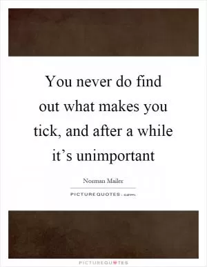 You never do find out what makes you tick, and after a while it’s unimportant Picture Quote #1