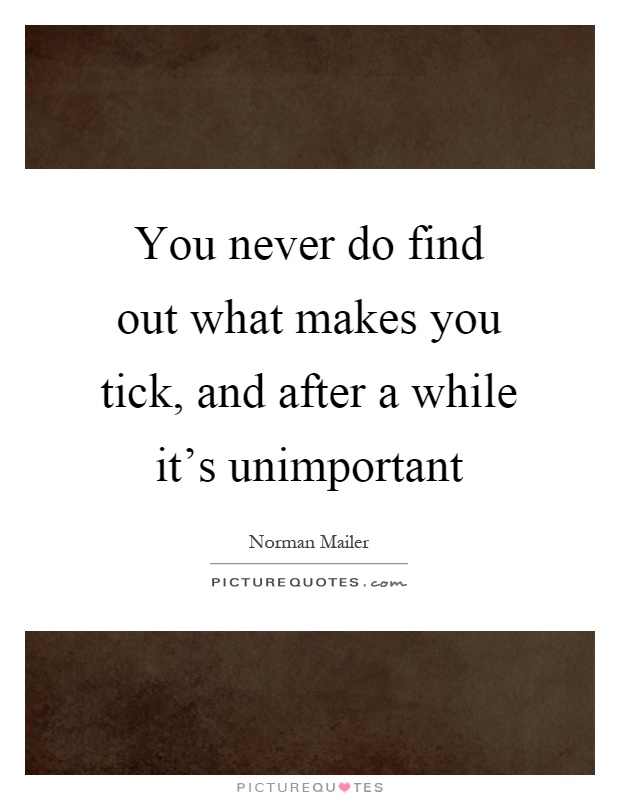 You never do find out what makes you tick, and after a while it's unimportant Picture Quote #1