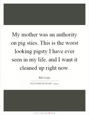 My mother was an authority on pig sties. This is the worst looking pigsty I have ever seen in my life, and I want it cleaned up right now Picture Quote #1