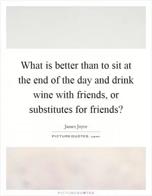 What is better than to sit at the end of the day and drink wine with friends, or substitutes for friends? Picture Quote #1