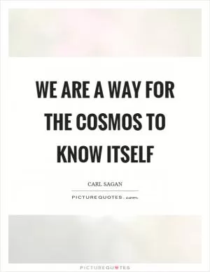 We are a way for the cosmos to know itself Picture Quote #1