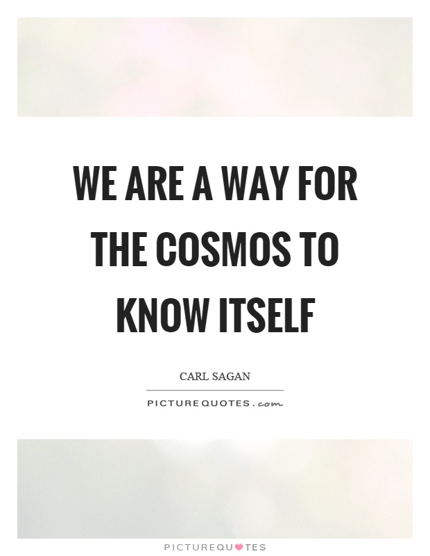 We are a way for the cosmos to know itself Picture Quote #1