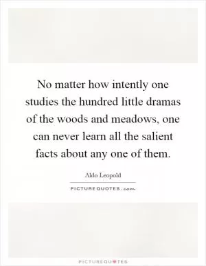 No matter how intently one studies the hundred little dramas of the woods and meadows, one can never learn all the salient facts about any one of them Picture Quote #1