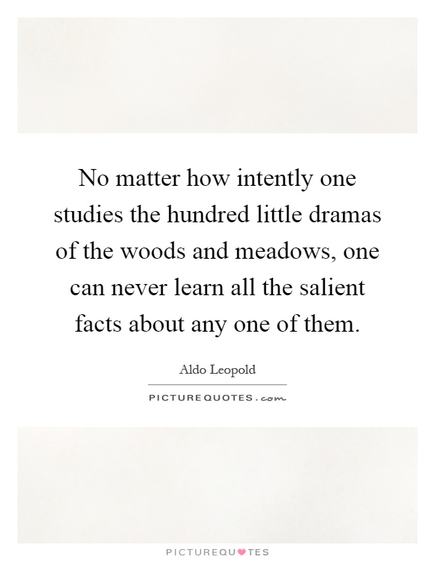 No matter how intently one studies the hundred little dramas of the woods and meadows, one can never learn all the salient facts about any one of them Picture Quote #1