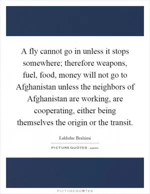 A fly cannot go in unless it stops somewhere; therefore weapons, fuel, food, money will not go to Afghanistan unless the neighbors of Afghanistan are working, are cooperating, either being themselves the origin or the transit Picture Quote #1