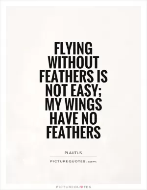 Flying without feathers is not easy; my wings have no feathers Picture Quote #1