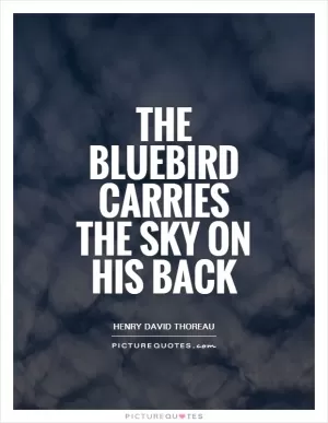 The bluebird carries the sky on his back Picture Quote #1