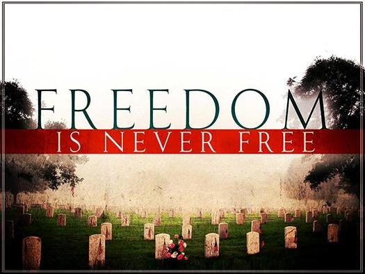 Freedom is never free Picture Quote #1