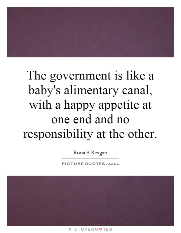 The government is like a baby's alimentary canal, with a happy appetite at one end and no responsibility at the other Picture Quote #1