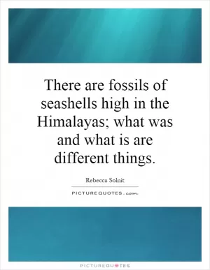 There are fossils of seashells high in the Himalayas; what was and what is are different things Picture Quote #1