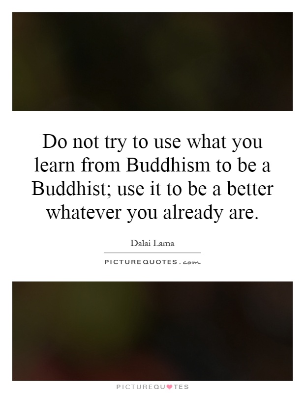 Do not try to use what you learn from Buddhism to be a Buddhist; use it to be a better whatever you already are Picture Quote #1