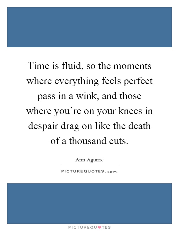 Time is fluid, so the moments where everything feels perfect pass in a wink, and those where you're on your knees in despair drag on like the death of a thousand cuts Picture Quote #1