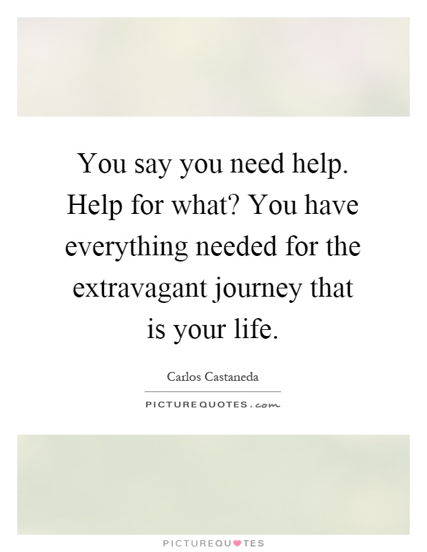 You say you need help. Help for what? You have everything needed for the extravagant journey that is your life Picture Quote #1