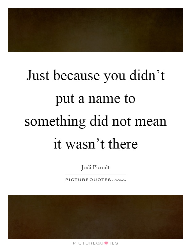 Just because you didn't put a name to something did not mean it wasn't there Picture Quote #1