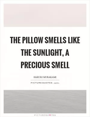 The pillow smells like the sunlight, a precious smell Picture Quote #1