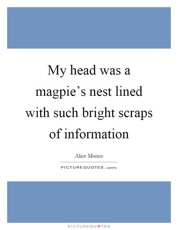 My head was a magpie's nest lined with such bright scraps of information Picture Quote #1