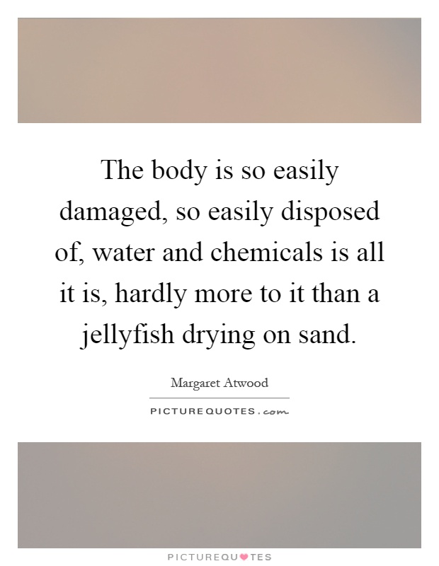 The body is so easily damaged, so easily disposed of, water and chemicals is all it is, hardly more to it than a jellyfish drying on sand Picture Quote #1