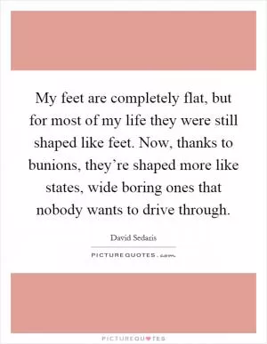 My feet are completely flat, but for most of my life they were still shaped like feet. Now, thanks to bunions, they’re shaped more like states, wide boring ones that nobody wants to drive through Picture Quote #1