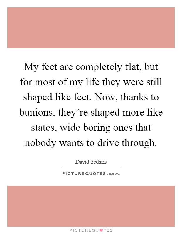 My feet are completely flat, but for most of my life they were still shaped like feet. Now, thanks to bunions, they're shaped more like states, wide boring ones that nobody wants to drive through Picture Quote #1