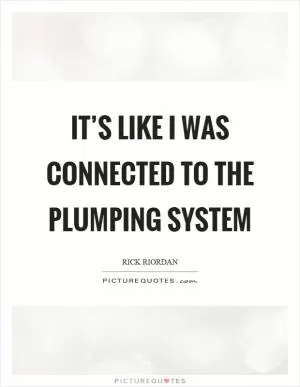 It’s like I was connected to the plumping system Picture Quote #1