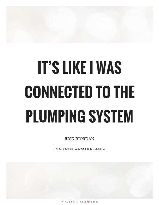 It's like I was connected to the plumping system Picture Quote #1